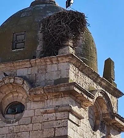 Dona Mercedes Rabé de las Calzadas